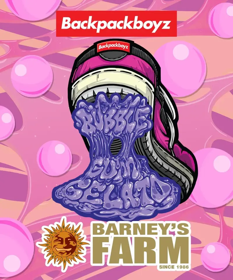 Bubblegum Gelato, Фасовка: 3